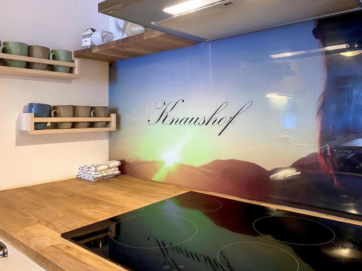 Apartment Knaushof - Rmu200 By Interhome رامساو أم داتشستين المظهر الخارجي الصورة